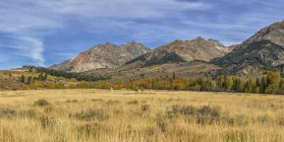 Galena Idaho Cathedral Pines Median Peak Forest Mountain Fine Art Landscape Photography Sale Coast - 022230 - 10-10-2017 - 18698x7887 Pixel Galena Idaho Cathedral Pines Median Peak Forest Mountain Fine Art Landscape Photography Sale Coast Country Road Hi Resolution Barn Fine Art Printing Senic Fine...