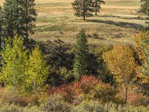 Grimes Pass