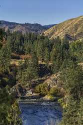 Grimes Pass Idaho Grass River Forest Tree Blue Fog Order Fine Art Prints Animal - 022277 - 09-10-2017 - 7528x14150 Pixel Grimes Pass Idaho Grass River Forest Tree Blue Fog Order Fine Art Prints Animal Fine Art Nature Photography Fine Arts Photography Creek Fine Art Photography For...