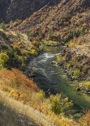 Lowman Idaho Grass River Valley Forest Tree Blue Modern Art Prints Stock Images Shore - 022271 - 09-10-2017 - 7870x10970 Pixel Lowman Idaho Grass River Valley Forest Tree Blue Modern Art Prints Stock Images Shore Fine Arts Photography Stock Photos Fine Art Winter Shoreline Coast Sky...