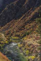 Lowman Idaho Grass River Valley Forest Tree Blue Stock Pictures Beach Island - 022273 - 09-10-2017 - 7421x16210 Pixel Lowman Idaho Grass River Valley Forest Tree Blue Stock Pictures Beach Island Fine Art Photography Prints For Sale Fine Art Fotografie Fine Art Foto Stock Images...