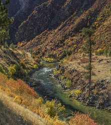 Lowman Idaho Grass River Valley Forest Tree Blue Pass Nature Autumn Fine Art Photography For Sale - 022274 - 09-10-2017 - 12496x14119 Pixel Lowman Idaho Grass River Valley Forest Tree Blue Pass Nature Autumn Fine Art Photography For Sale Image Stock Art Printing Barn Sale Stock Images Fine Art...