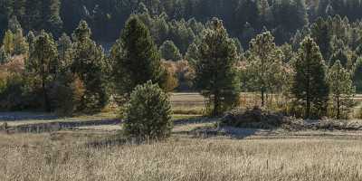 Smiths Ferry Idaho Ice Fog Cold River Forest Stock Pictures Fine Art Nature Photography - 022283 - 09-10-2017 - 27214x8562 Pixel Smiths Ferry Idaho Ice Fog Cold River Forest Stock Pictures Fine Art Nature Photography Prints For Sale What Is Fine Art Photography Country Road Tree Sea...