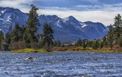 Stanley Idaho Salmon River Mountain Grass Valley Forest Country Road Sale - 022200 - 10-10-2017 - 16983x10713 Pixel Stanley Idaho Salmon River Mountain Grass Valley Forest Country Road Sale Fine Art Landscape Photography Art Prints For Sale Stock Photos Fine Art Photography...