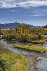 Swan Valley Idaho Snake River Bank Stream Order Fine Art Photographers Outlook Island Leave - 022179 - 11-10-2017 - 7708x12842 Pixel Swan Valley Idaho Snake River Bank Stream Order Fine Art Photographers Outlook Island Leave Fine Art Prints For Sale Fine Art Photo Park Town Shoreline Coast...