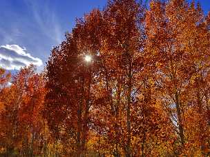 Autum at Henrys Lake