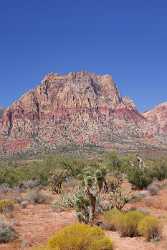 Red Rock Canyon Valley State Park Nevada Las Fine Art Photography Galleries Fine Art Photography - 010876 - 26-09-2011 - 3998x8215 Pixel Red Rock Canyon Valley State Park Nevada Las Fine Art Photography Galleries Fine Art Photography Fine Art America Fine Art Photography Gallery Photography Grass...