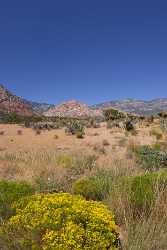 Red Rock Canyon Valley State Park Nevada Las Country Road Fine Art Landscapes Tree Island Nature - 010899 - 26-09-2011 - 4165x6406 Pixel Red Rock Canyon Valley State Park Nevada Las Country Road Fine Art Landscapes Tree Island Nature Fine Art Photography Gallery Stock Landscape Photography...