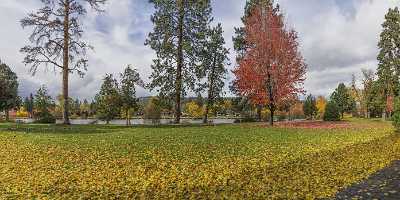 Bend Drake Park Autumn Tree Color Leave Colorful Fine Arts Photography Country Road Coast - 021798 - 21-10-2017 - 21051x7645 Pixel Bend Drake Park Autumn Tree Color Leave Colorful Fine Arts Photography Country Road Coast Fine Art Photography For Sale Shoreline Senic Fine Art America Fine...