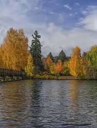 Bend Drake Park Autumn Tree Color Leave Colorful Senic Barn Art Prints Modern Art Print Photography - 021805 - 21-10-2017 - 7738x10211 Pixel Bend Drake Park Autumn Tree Color Leave Colorful Senic Barn Art Prints Modern Art Print Photography Stock Fine Art Posters Prints Flower Fine Art Prints For...