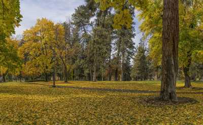 Bend Drake Park Autumn Tree Color Leave Colorful Fine Arts Fine Art Photographers Panoramic - 021806 - 21-10-2017 - 12363x7632 Pixel Bend Drake Park Autumn Tree Color Leave Colorful Fine Arts Fine Art Photographers Panoramic Fine Art Nature Photography Winter Senic Royalty Free Stock Photos...