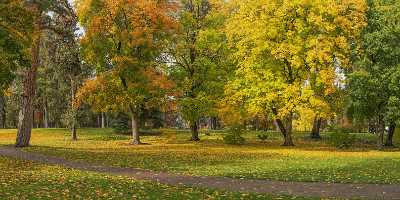 Bend Drake Park Autumn Tree Color Leave Colorful Fine Art Fine Art Posters Town - 021808 - 21-10-2017 - 18328x7553 Pixel Bend Drake Park Autumn Tree Color Leave Colorful Fine Art Fine Art Posters Town Fine Art Photographers Island Photo Fine Art Stock Pictures Shoreline Fine Art...