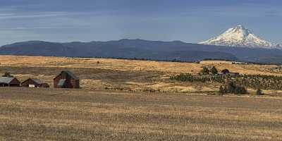 Dufur Mount Hood National Forest Oregon Farm Grass Hi Resolution Animal - 022375 - 06-10-2017 - 21712x7729 Pixel Dufur Mount Hood National Forest Oregon Farm Grass Hi Resolution Animal Fine Art Landscape Photography Senic Shore Fine Art Foto Stock Images Photo Western Art...