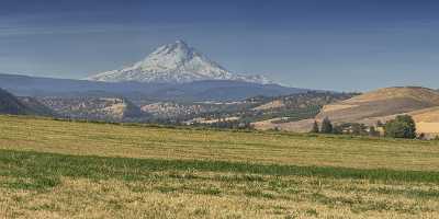 Dufur Mount Hood National Forest Oregon Farm Grass Fog Summer Western Art Prints For Sale Prints - 022377 - 06-10-2017 - 21373x7088 Pixel Dufur Mount Hood National Forest Oregon Farm Grass Fog Summer Western Art Prints For Sale Prints Flower Beach Fine Art Photography Galleries Country Road Photo...