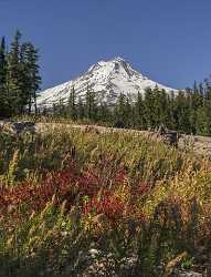 Government Camp Mount Hood National Forest Oregon Snow Modern Art Prints Island Fine Art Landscapes - 022416 - 05-10-2017 - 8032x10520 Pixel Government Camp Mount Hood National Forest Oregon Snow Modern Art Prints Island Fine Art Landscapes Outlook Fine Art Photography Prints For Sale View Point...