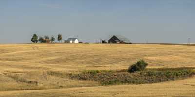 Grass Valley Oregon Farm Barn Tree Autumn Fine Art Pictures Animal Fine Art Photo Rock Country Road - 022372 - 06-10-2017 - 15899x7568 Pixel Grass Valley Oregon Farm Barn Tree Autumn Fine Art Pictures Animal Fine Art Photo Rock Country Road Fine Art Art Prints Fog Order Modern Wall Art Stock Senic...