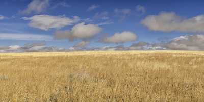 Hardman Oregon Prairie Country Site Farm Barn Blue Winter Fine Art Giclee Printing - 022323 - 07-10-2017 - 18698x7598 Pixel Hardman Oregon Prairie Country Site Farm Barn Blue Winter Fine Art Giclee Printing Fine Art Photography Prints Grass Fine Art Photography For Sale Shoreline...