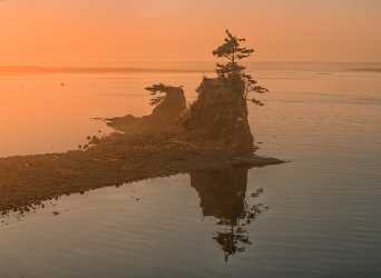 Lincoln City Outlook Oregon Sunset Rock Pine Pacific Tree Fine Art Photography Prints - 022622 - 26-10-2017 - 10640x7783 Pixel Lincoln City Outlook Oregon Sunset Rock Pine Pacific Tree Fine Art Photography Prints Fine Art Photography Prints For Sale Photography Photo Fine Art Creek Snow...