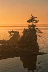 Lincoln City Barn Oregon Sunset Rock Pine Pacific Panoramic Fine Art Pictures Snow Senic Rain - 022632 - 26-10-2017 - 7509x12551 Pixel Lincoln City Barn Oregon Sunset Rock Pine Pacific Panoramic Fine Art Pictures Snow Senic Rain Fine Art Photography Gallery Landscape Photography Leave Order...