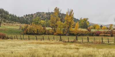 Mt Vernon John Day Highway Mountain Snow Farm Art Prints Fine Art Creek Stock Pictures Pass - 021820 - 21-10-2017 - 27775x7826 Pixel Mt Vernon John Day Highway Mountain Snow Farm Art Prints Fine Art Creek Stock Pictures Pass Fine Art Photos Fine Art Landscape Photography Flower Stock Modern...