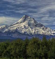 Parkdale Mount Hood National Forest Oregon Grass Snow Stock Pictures Fine Art Photography Prints - 022381 - 06-10-2017 - 7939x8413 Pixel Parkdale Mount Hood National Forest Oregon Grass Snow Stock Pictures Fine Art Photography Prints Fine Art Photographer Fine Art Foto Autumn Tree Town Art...