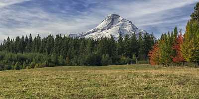 Parkdale Mount Hood National Forest Oregon Orchard Snow Creek Shore Royalty Free Stock Images Grass - 022395 - 06-10-2017 - 17652x6850 Pixel Parkdale Mount Hood National Forest Oregon Orchard Snow Creek Shore Royalty Free Stock Images Grass Leave Pass Fine Arts Mountain Fine Art Printer Fine Art...