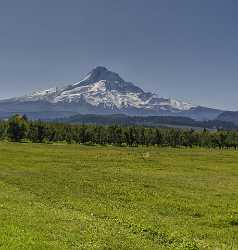 Parkdale Mount Hood National Forest Oregon Orchard Snow Fine Art Photography For Sale Shore - 022421 - 05-10-2017 - 6879x7212 Pixel Parkdale Mount Hood National Forest Oregon Orchard Snow Fine Art Photography For Sale Shore Art Prints Stock Image Animal Fine Art Print Sky Fine Art...