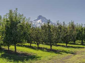 Parkdale Mount Hood National Forest Oregon Orchard Snow Stock Images Shoreline Lake - 022423 - 05-10-2017 - 7967x5902 Pixel Parkdale Mount Hood National Forest Oregon Orchard Snow Stock Images Shoreline Lake Fine Art Photography For Sale Fine Art Fine Art Photographers Photography...