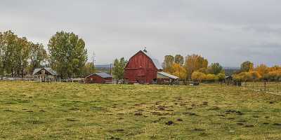 Powell Butte Ville Autumn Grass Farm Farmland Barn Rock Sunshine Fine Art Photography Prints Images - 021809 - 21-10-2017 - 21076x7605 Pixel Powell Butte Ville Autumn Grass Farm Farmland Barn Rock Sunshine Fine Art Photography Prints Images Fine Art Prints Image Stock Forest Fine Art Foto Art...