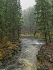 Crater Lake Nationalpark Union Creek Crater Lake National Park Autumn Tree Fine Art Image Stock Stock Prints Fine Art Photography Nature Leave...