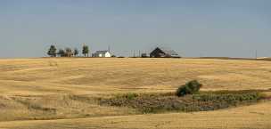 Grass Valley Grass Valley Oregon Farm Barn Tree Autumn Fog Fine Art Town Sale Fine Arts Photography Fine Art America Sea Royalty Free...