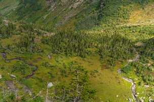 Marsh Swamp - Panoramic - Landscape - Photography - Photo - Print - Nature - Stock Photos - Images - Fine Art Prints - Sale -...