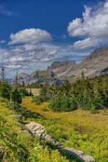 Meadow Meadow - Panoramic - Landscape - Photography - Photo - Print - Nature - Stock Photos - Images - Fine Art Prints - Sale -...