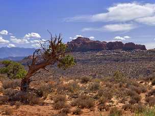 Elephant Butte