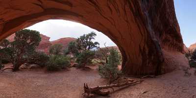 Moab Arches National Park Navajo Arch Utah Red Tree Art Prints For Sale Art Photography For Sale - 007688 - 03-10-2010 - 11094x4311 Pixel Moab Arches National Park Navajo Arch Utah Red Tree Art Prints For Sale Art Photography For Sale Fine Art Photography Galleries Sea Spring Stock Pictures Creek...