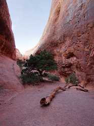 Moab Arches National Park Navajo Arch Utah Red Fine Art Prints Fine Art Nature Photography - 007698 - 03-10-2010 - 4380x5880 Pixel Moab Arches National Park Navajo Arch Utah Red Fine Art Prints Fine Art Nature Photography Prints For Sale Photo Art Photography Gallery Fine Art Photography...