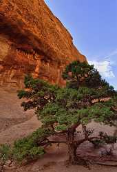 Moab Arches National Park Devils Garden Navajo Arch Image Stock Photo Fine Art Panoramic City Senic - 012417 - 10-10-2012 - 5131x7565 Pixel Moab Arches National Park Devils Garden Navajo Arch Image Stock Photo Fine Art Panoramic City Senic Fine Art Photographers Island Barn Fine Art Print Fine Art...