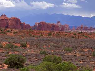 Petrified Dunes