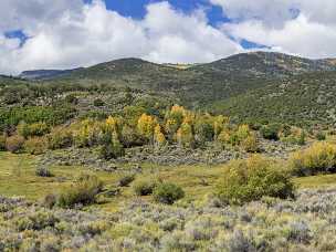 Bear Valley Road