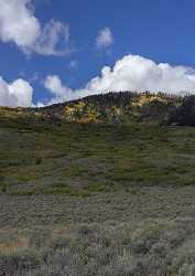 Bear Valley Road Utah Autumn Red Rock Blue Sea Royalty Free Stock Photos Fine Art Posters Winter - 015208 - 29-09-2014 - 6567x9277 Pixel Bear Valley Road Utah Autumn Red Rock Blue Sea Royalty Free Stock Photos Fine Art Posters Winter Fine Art Photography Gallery Rain Fine Art Giclee Printing...