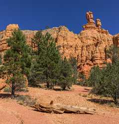 Red Canyon Birdseye Trail Utah Autumn Rock Famous Fine Art Photographers Art Prints For Sale - 015051 - 01-10-2014 - 6773x7076 Pixel Red Canyon Birdseye Trail Utah Autumn Rock Famous Fine Art Photographers Art Prints For Sale Royalty Free Stock Photos Fine Art Photographer Mountain Flower...