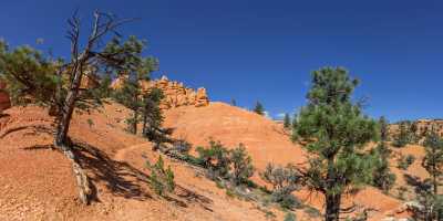 Red Canyon Birdseye Trail Utah Autumn Rock Fine Arts Lake Prints Landscape Photography - 015057 - 01-10-2014 - 14489x6660 Pixel Red Canyon Birdseye Trail Utah Autumn Rock Fine Arts Lake Prints Landscape Photography Hi Resolution Country Road Order River Modern Art Prints Sunshine Outlook...