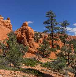 Red Canyon Birdseye Trail Utah Autumn Rock Royalty Free Stock Photos Modern Art Prints Art Printing - 015063 - 01-10-2014 - 6738x6806 Pixel Red Canyon Birdseye Trail Utah Autumn Rock Royalty Free Stock Photos Modern Art Prints Art Printing What Is Fine Art Photography Art Photography For Sale Fine...