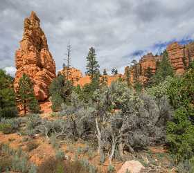 Red Canyon Birdseye Trail Utah Autumn Rock Fine Art Photo Fine Art Fine Art Pictures Landscape - 015191 - 29-09-2014 - 7288x6496 Pixel Red Canyon Birdseye Trail Utah Autumn Rock Fine Art Photo Fine Art Fine Art Pictures Landscape Fine Art Photographer Grass Photography Color Barn Fine Art Print...