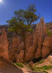 Bryce Canyon Overlook Trail Utah Autumn Red Rock Fine Art Landscape Photography Stock Pictures - 015030 - 01-10-2014 - 7016x9803 Pixel Bryce Canyon Overlook Trail Utah Autumn Red Rock Fine Art Landscape Photography Stock Pictures Spring Fine Art Photography Fine Art America Art Prints Fog Fine...