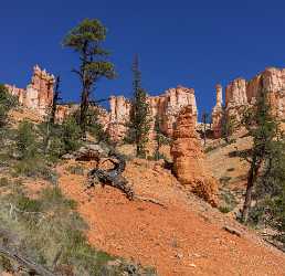 Bryce Canyon Fairyland Loop Trail Overlook Utah Fine Arts Photography Fine Art Nature Photography - 014986 - 02-10-2014 - 7422x7204 Pixel Bryce Canyon Fairyland Loop Trail Overlook Utah Fine Arts Photography Fine Art Nature Photography Landscape Images Hi Resolution View Point Art Printing Image...