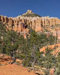 Bryce Canyon Fairyland Loop Trail Overlook Utah Fine Art Photographers Shoreline Sea Stock Images - 014996 - 02-10-2014 - 7422x9235 Pixel Bryce Canyon Fairyland Loop Trail Overlook Utah Fine Art Photographers Shoreline Sea Stock Images Art Prints Sale Fine Art Prints For Sale Landscape Photography...