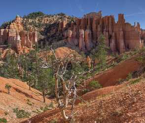 Bryce Canyon Fairyland Loop Trail Overlook Utah Art Printing Animal Fine Art Prints Country Road - 015005 - 02-10-2014 - 11070x9398 Pixel Bryce Canyon Fairyland Loop Trail Overlook Utah Art Printing Animal Fine Art Prints Country Road Modern Art Print Rock Fine Art Photos Royalty Free Stock Photos...