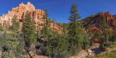 Bryce Canyon Fairyland Loop Trail Overlook Utah Famous Fine Art Photographers Fine Art Foto Summer - 015008 - 02-10-2014 - 14936x7095 Pixel Bryce Canyon Fairyland Loop Trail Overlook Utah Famous Fine Art Photographers Fine Art Foto Summer Hi Resolution Forest Royalty Free Stock Images Fine Art...