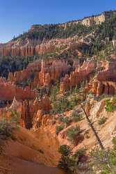 Bryce Canyon Fairyland Loop Trail Overlook Utah Fine Art Nature Photography Fine Art Photo Sale - 015012 - 02-10-2014 - 7355x11351 Pixel Bryce Canyon Fairyland Loop Trail Overlook Utah Fine Art Nature Photography Fine Art Photo Sale Stock Pictures Famous Fine Art Photographers Winter Art...